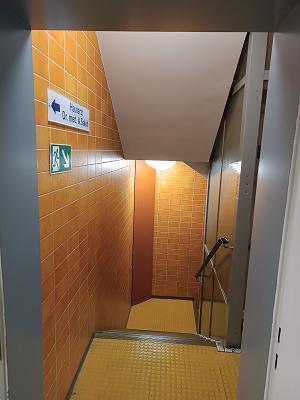 gp_6a4e90298462f