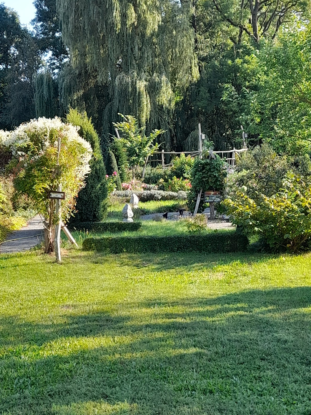 gp_6a4e974ac0521