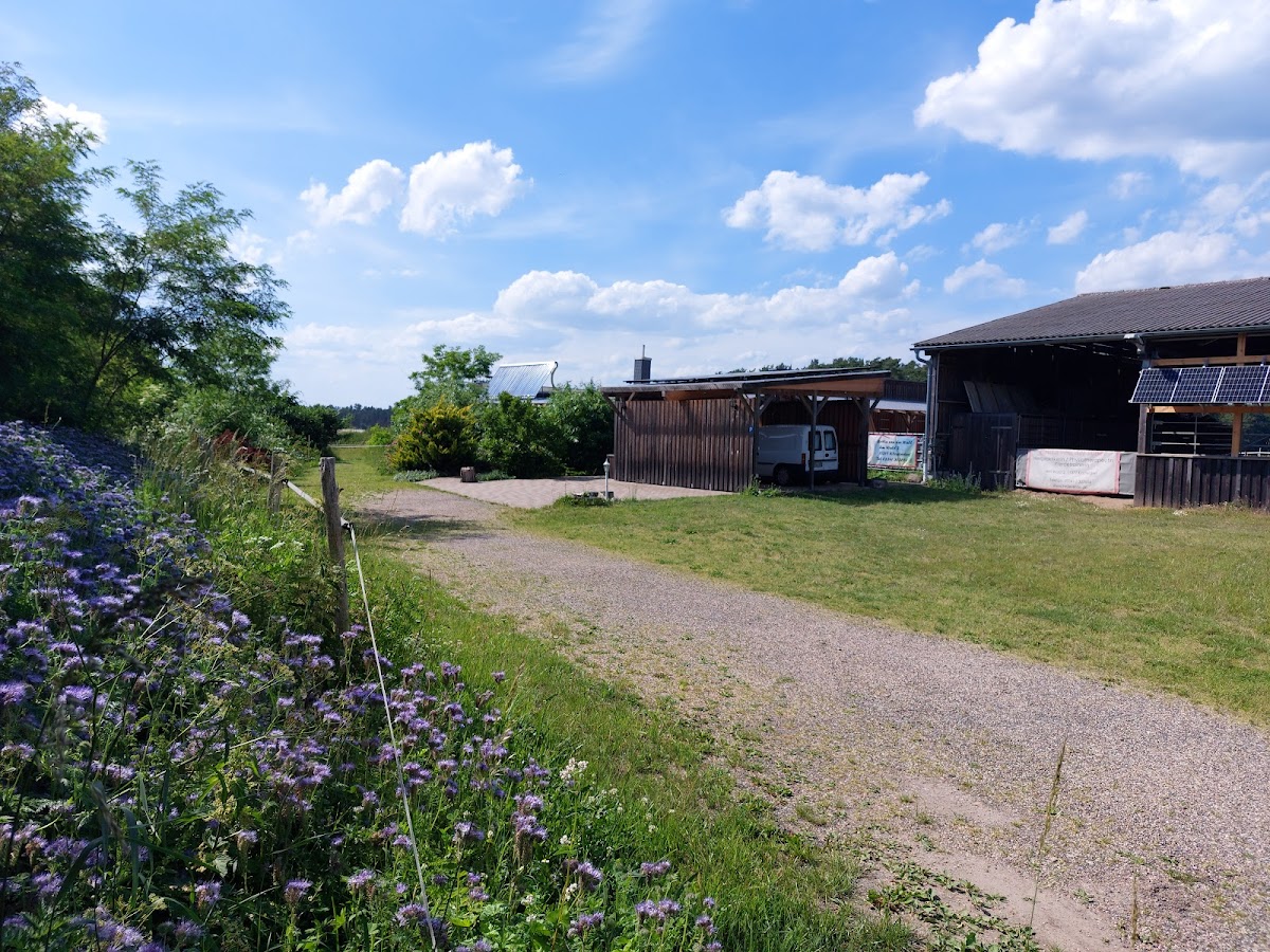 gp_6a4eed20b993b