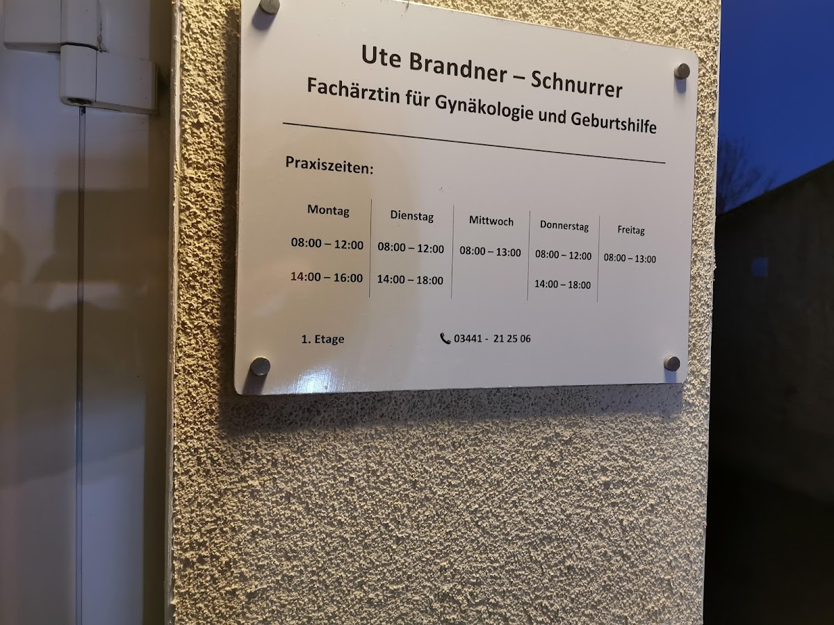 gp_6a4de22e1e170